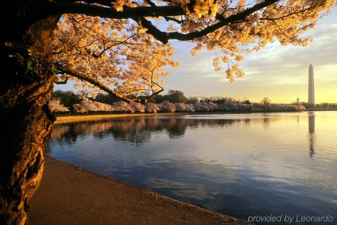 Hampton Inn & Suites Washington-Dulles International Airport Стерлинг Экстерьер фото